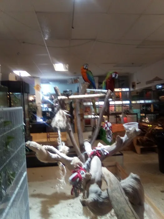 Off The Hook Exotics Pet Shop Picture 9