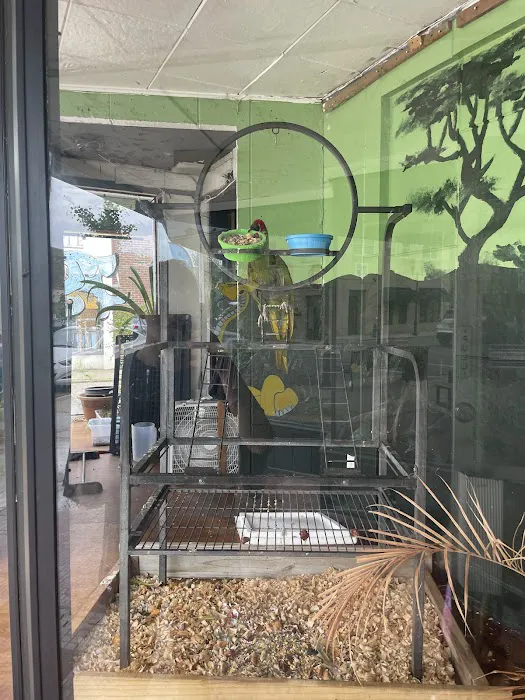 Off The Hook Exotics Pet Shop Picture 4