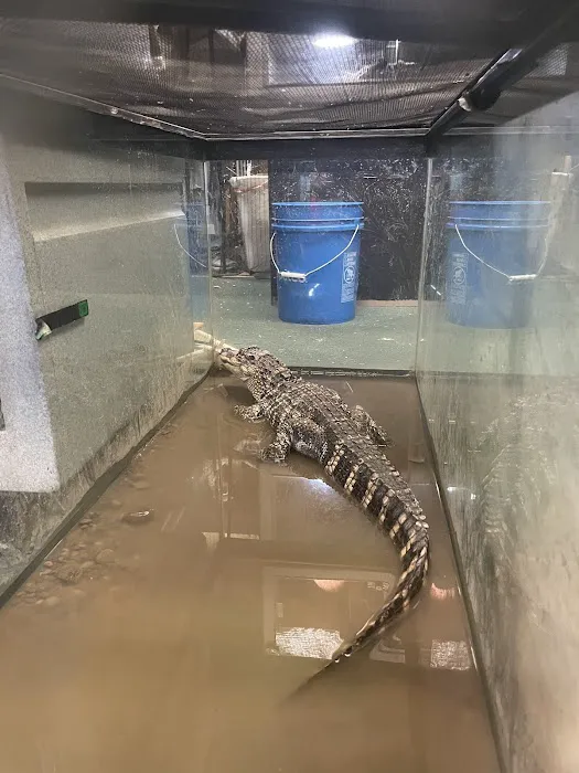 Off The Hook Exotics Pet Shop Picture 7