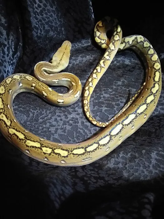 Off The Hook Exotics Pet Shop Picture 10