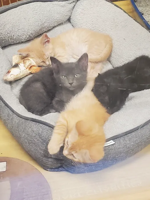 Banfield Pet Hospital Picture 5