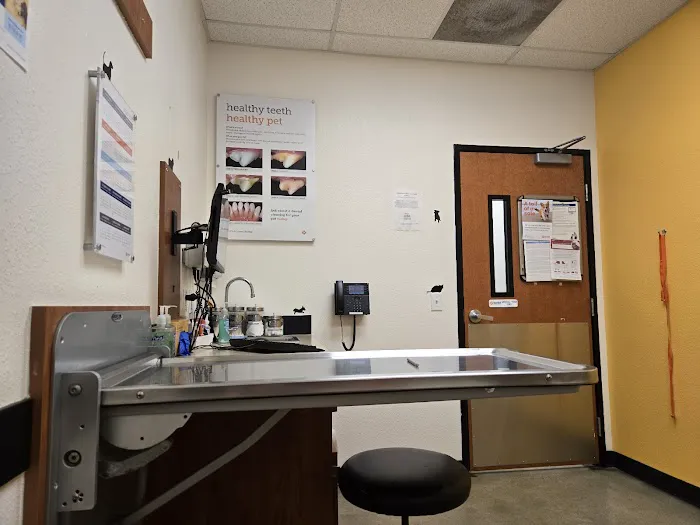 Banfield Pet Hospital Picture 9