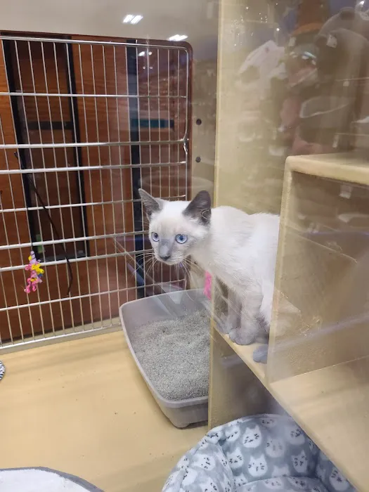 Banfield Pet Hospital Picture 8