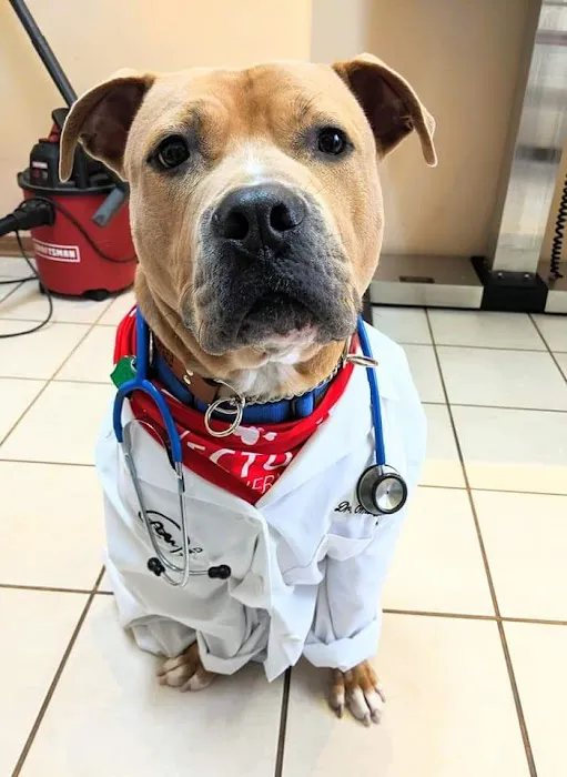 Easton Animal Clinic Picture 3