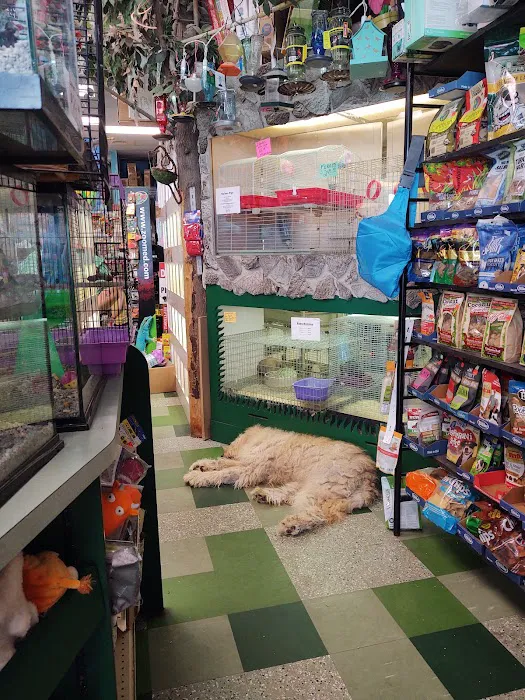 Pets In the Park Picture 3