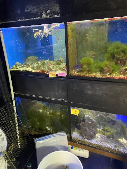 Pets In the Park Picture 1