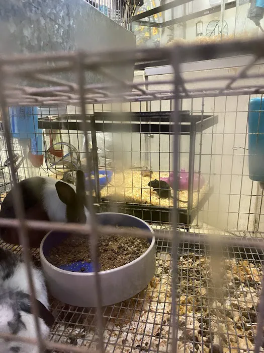 Pets In the Park Picture 4