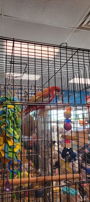 Pets In the Park Picture 8