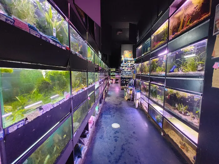 Pets In the Park Picture 10