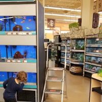 Petco ico