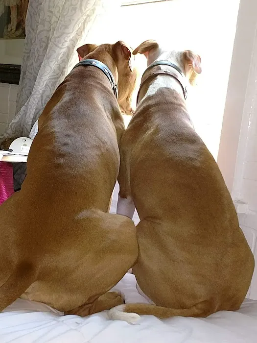 Petco Picture 7