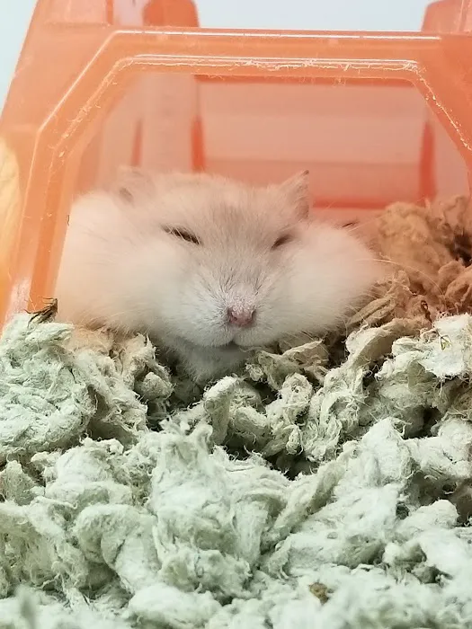 Petco Picture 6