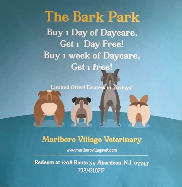 Marlboro Village Veterinary Hospital of Marlboro and Aberdeen & The Bark Park Dog Daycare! Picture 5