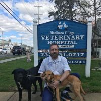Marlboro Village Veterinary Hospital of Marlboro and Aberdeen & The Bark Park Dog Daycare! ico