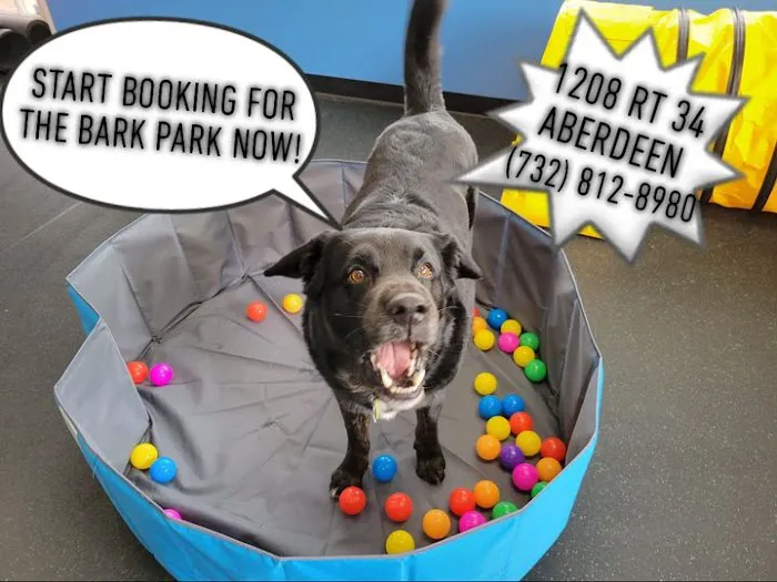 Marlboro Village Veterinary Hospital of Marlboro and Aberdeen & The Bark Park Dog Daycare! Picture 10