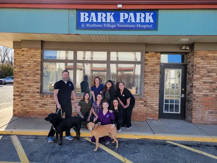 Marlboro Village Veterinary Hospital of Marlboro and Aberdeen & The Bark Park Dog Daycare! Picture 7