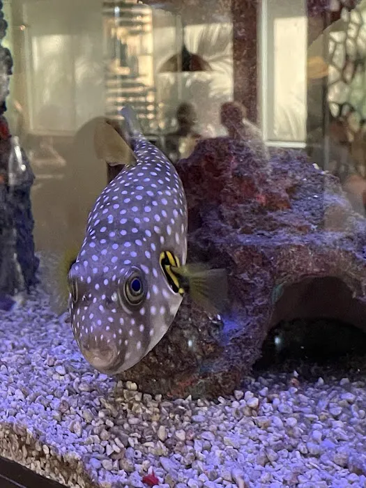 Aquatic Design & Maintenance Picture 3