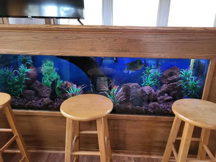 Aquatic Design & Maintenance Picture 1