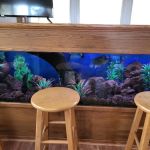 Aquatic Design & Maintenance