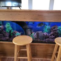 Aquatic Design & Maintenance ico