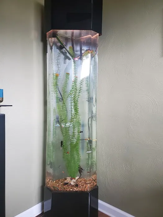Aquatic Design & Maintenance Picture 2