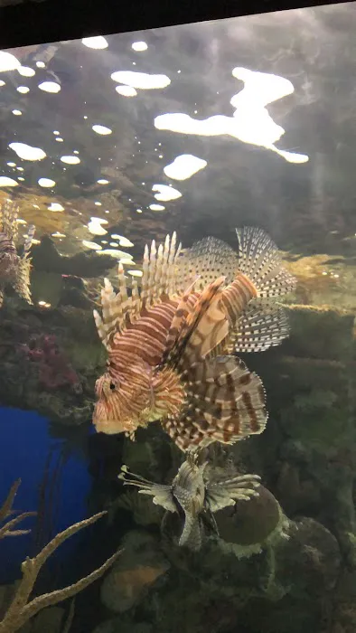 Aquatic Design & Maintenance Picture 4