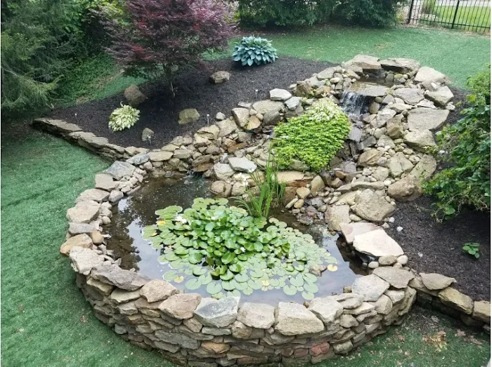 Aquatic Design & Maintenance Picture 5