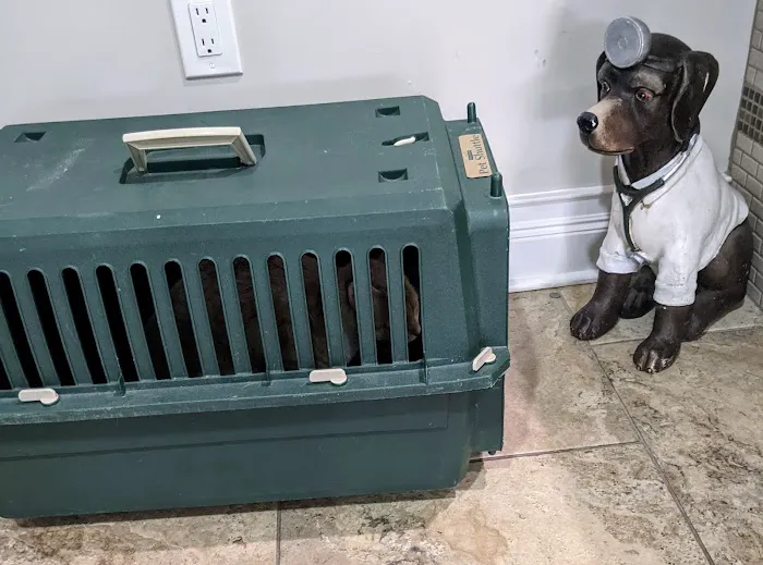 4 Paws Animal Hospital Picture 1