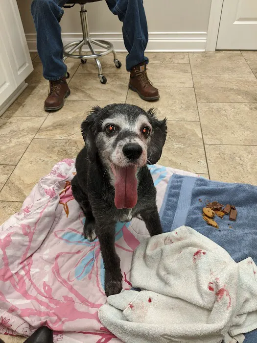 4 Paws Animal Hospital Picture 5
