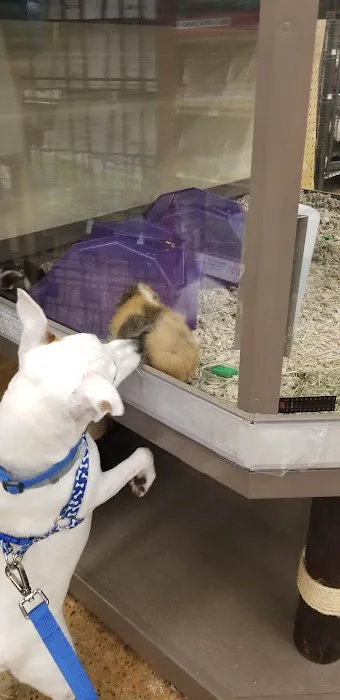 Petco Picture 3