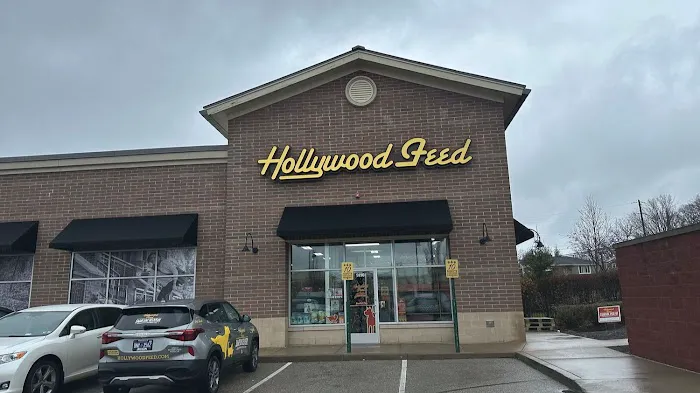Hollywood Feed Picture 10