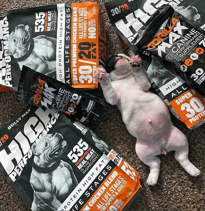 Bully Max Picture 6