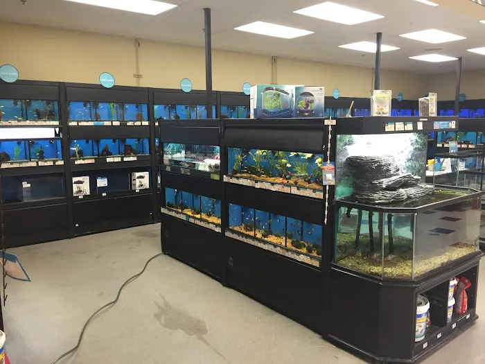 Petco Picture 1