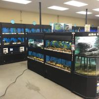 Petco ico