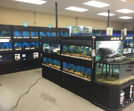 Petco