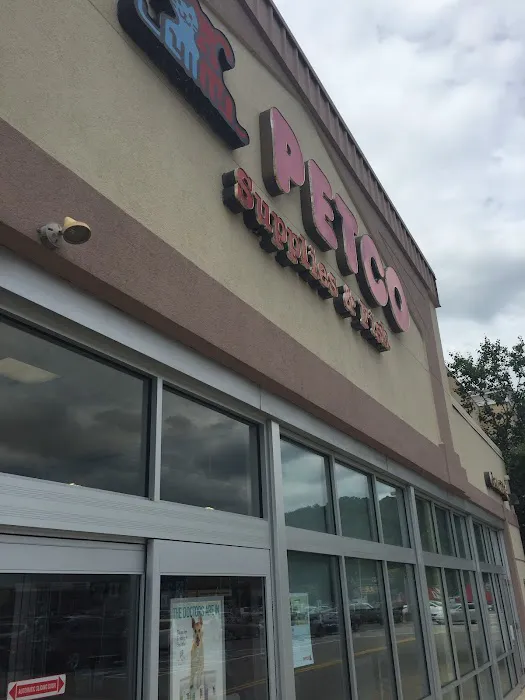 Petco Picture 2