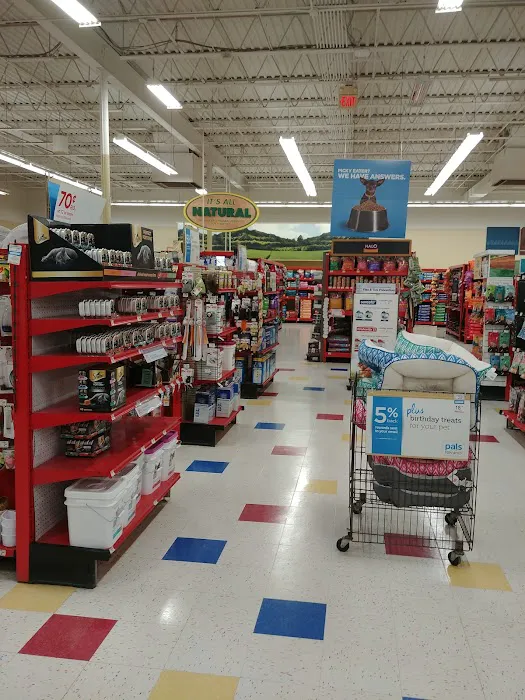 Petco Picture 4