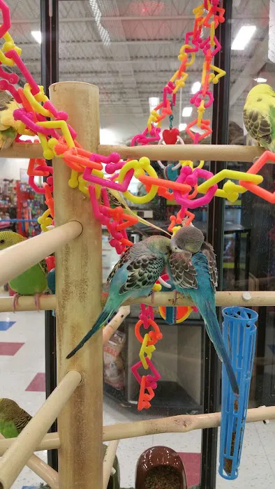 Petco Picture 3