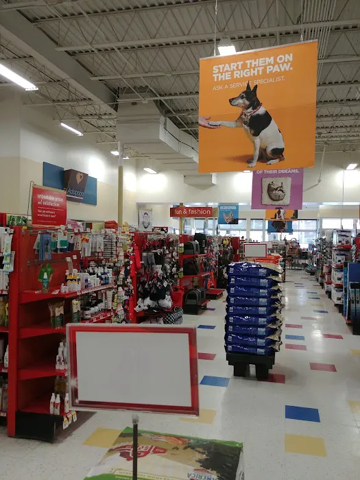 Petco Picture 5