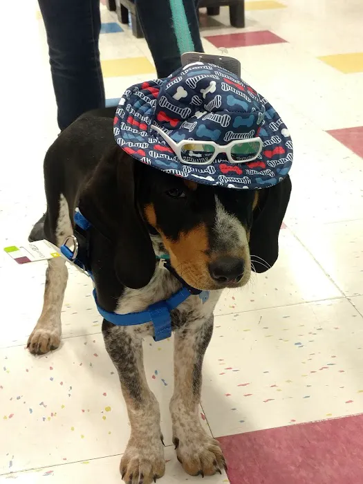 Petco Picture 7