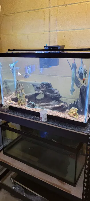 Petco Picture 8