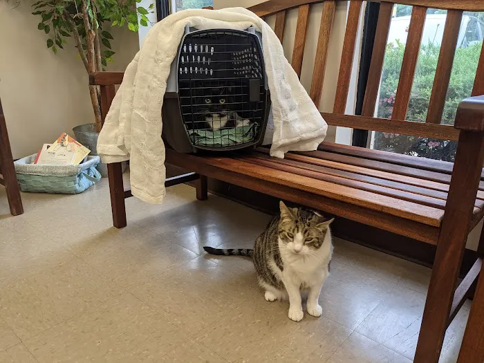 Reid Hill Veterinary Clinic Picture 6