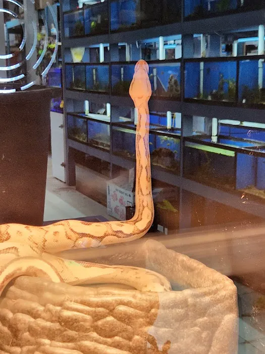 Aqua World Pet Super Center Picture 4