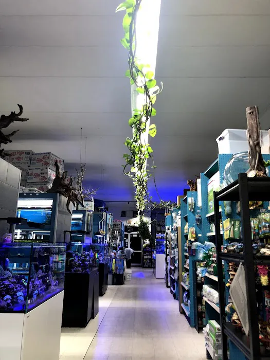 Aqua World Pet Super Center Picture 6