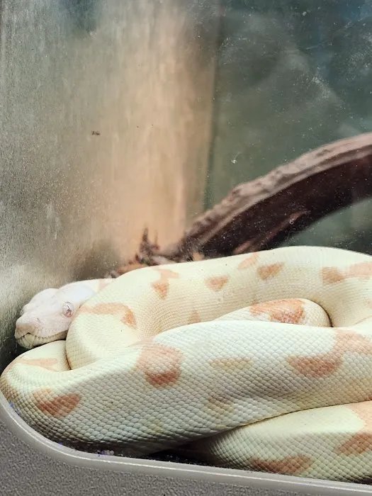 Aqua World Pet Super Center Picture 2