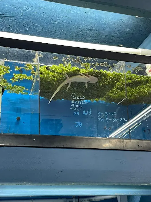 Aqua World Pet Super Center Picture 9