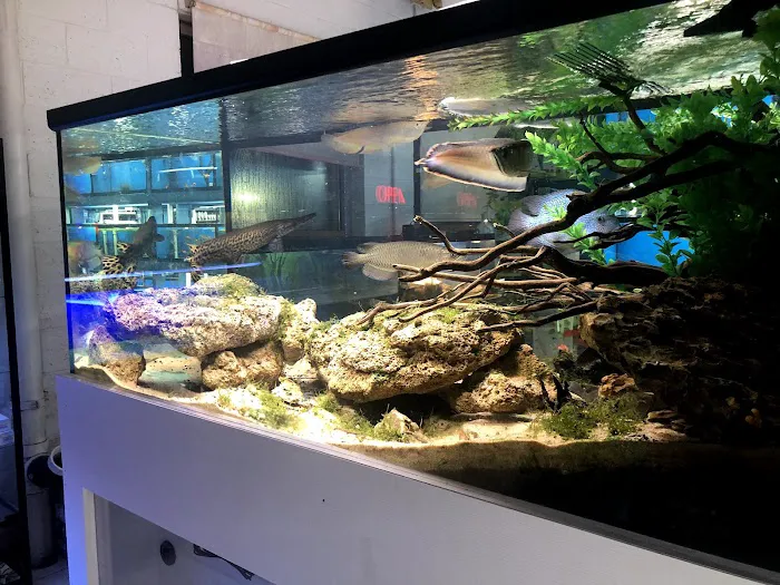 Aqua World Pet Super Center Picture 7