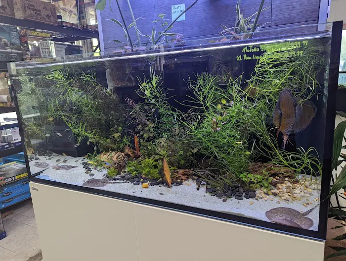 Aqua World Pet Super Center Picture 8