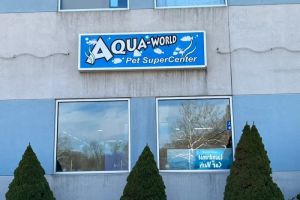 Auto Service Center