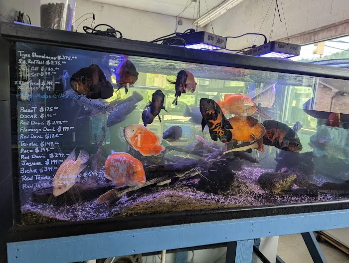 Aqua World Pet Super Center Picture 5